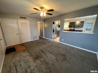 728 Bryan Ave, Lincoln, IL 62656 - photo 5