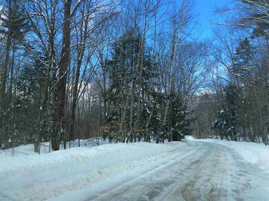 0 Jericho unit 4675486, Bartlett, NH 03812 - photo 3