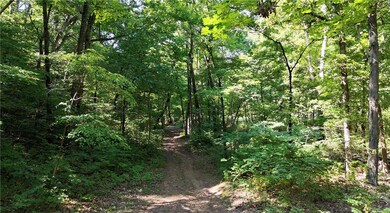 19.7 Acres Arkansas 156, West Fork, AR 72774 - photo 4