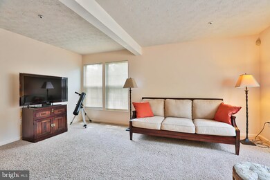 769 Pine Drift Dr, Odenton, MD 21113 - photo 4