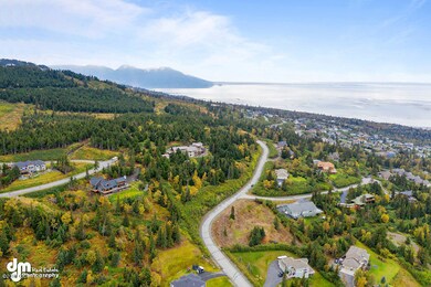 Aerials MS_93313-SMALL