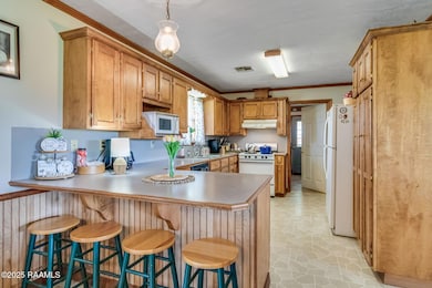 487 Saint Mark Ave, Opelousas, LA 70570 - photo 5