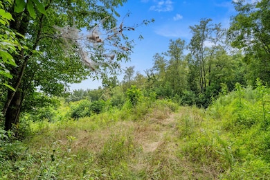 TBD Old Mill Ct, Fancy Gap, VA 24053 - photo 5