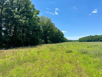 000001 Johnson Line Rd, Bolton, MS 39041 - photo 2