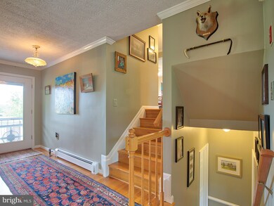 557 Misty Hill Ln, Berryville, VA 22611 - photo 5