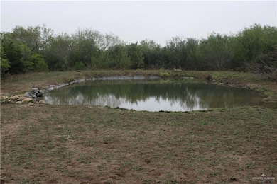 8993 N Cr 101 Rd N, San Diego, TX 78384 - photo 2