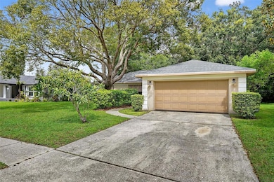 3602 Player Dr, New Port Richey, FL 34655 - photo 4