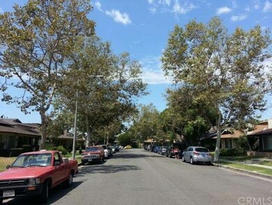 Beautiful trees line the street in this neighborho