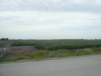 3311 Muegge Rd, Rosenberg, TX 77471 - photo 6