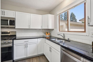 10682 Hummingbird St NW, Coon Rapids, MN 55433 - photo 2