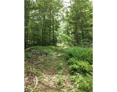 Land/Lot.