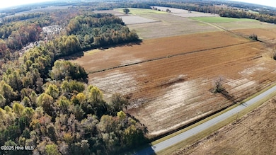 294 James Price Rd, Seven Springs, NC 28578 - photo 4