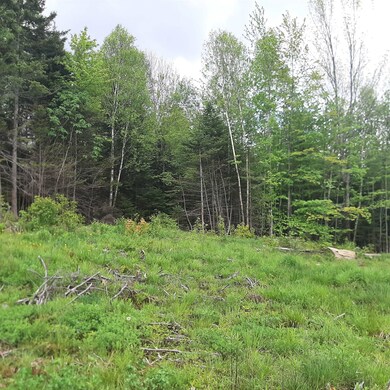 Lot 16 Oakes Rd, Columbia, NH 03576 - photo 5
