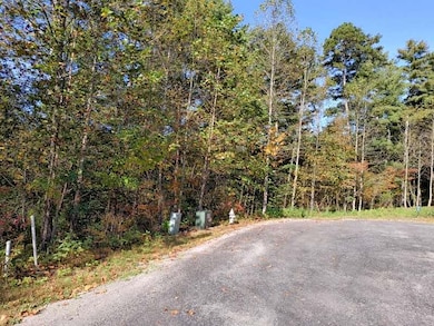 Lot 95 Cedar St, Ellijay, GA 30540 - photo 6