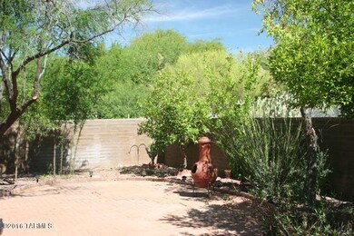 back yard