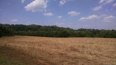 000 Bussell Rd, Statesville, NC 28625 - photo 6