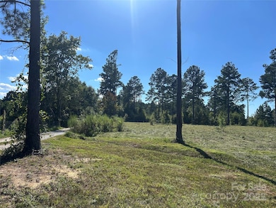 2.20 AC Harmony Church Rd unit 1, Edgemoor, SC 29712 - photo 5