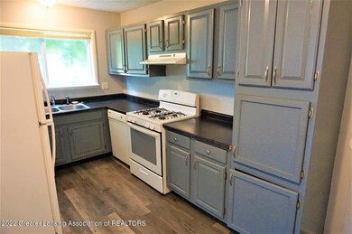 3202 W Jolly Rd, Lansing, MI 48911 - photo 4