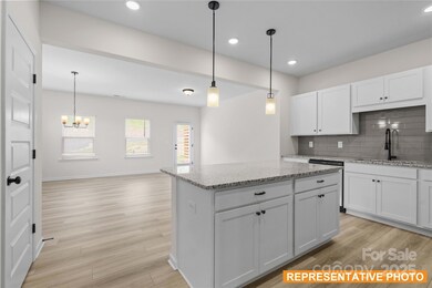 6013 Jasmine Branch Rd, Charlotte, NC 28216 - photo 4