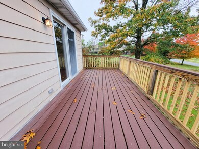 18 Black Matt Rd, Douglassville, PA 19518 - photo 7