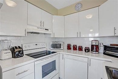 1015 SW 11th Ave unit 11K, Hallandale Beach, FL 33009 - photo 4