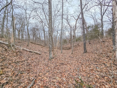 000 W Hwy, Wheatland, MO 65779 - photo 5