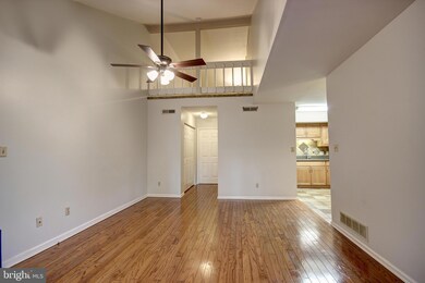 133 N Park Dr, Salisbury, MD 21804 - photo 6