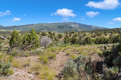 221 Chaparral Ranch Rd-006-016-Neighborh