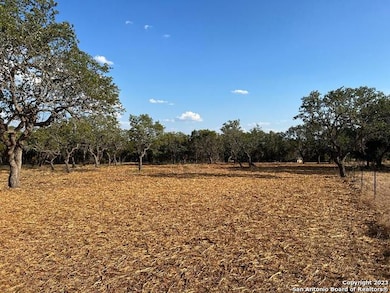 235 Cambridge Dr, Wimberley, TX 78676 - photo 3