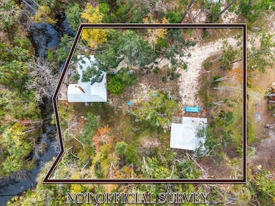 1532 Cedar St NE, Steinhatchee, FL 32359 - photo 2