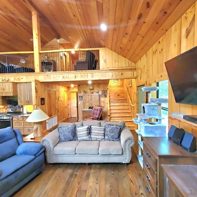 1381 Mitchell Rd, Mountain View, AR 72560 - photo 7