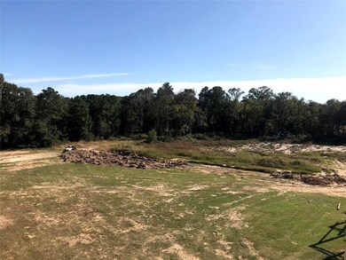 22520 Morgan Cemetery Rd, Cleveland, TX 77328 - photo 5