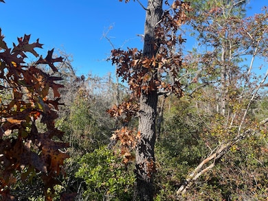 TBD Lot #18 Sea Oaks Dr, Perry, FL 32348 - photo 6