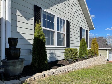 173 Andro, Hollister, MO-3