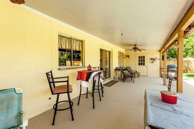 Back Patio 2