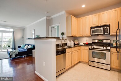 2301 25th St S unit 4405, Arlington, VA 22206 - photo 5