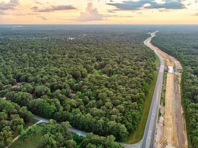 15824 Kropik Rd, Conroe, TX 77306 - photo 2