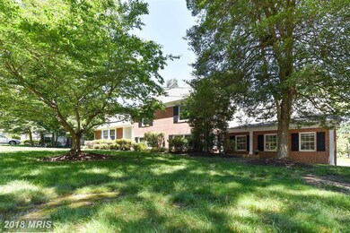 818 Elaine Ct, Alexandria, VA 22308 - photo 4