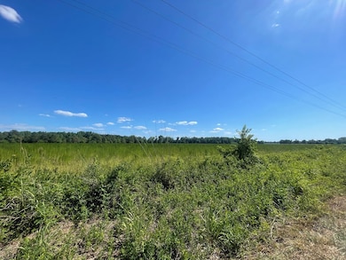 13 N Kings Hwy, Sumter, SC 29154 - photo 2