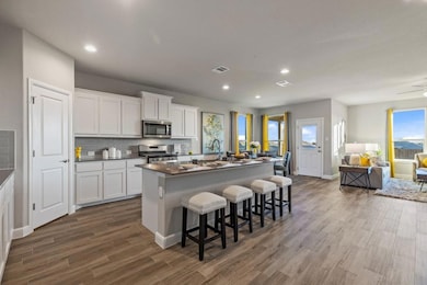 2348 Briscoe Ranch Dr, Hudson Oaks, TX 76087 - photo 6