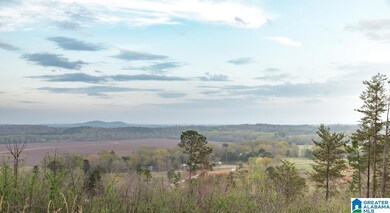 4947 U S 231 unit 3, Vincent, AL 35178 - photo 7