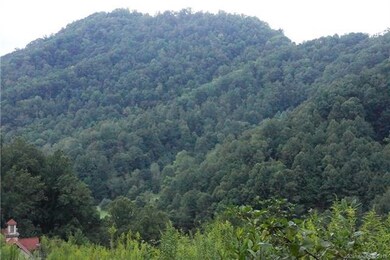 390 Cane Mountain Ln, Burnsville, NC 28714 - photo 3