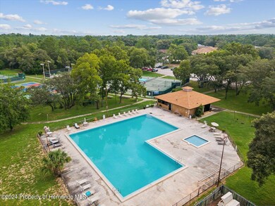 17 Lone Pine St, Homosassa, FL 34446 - photo 3