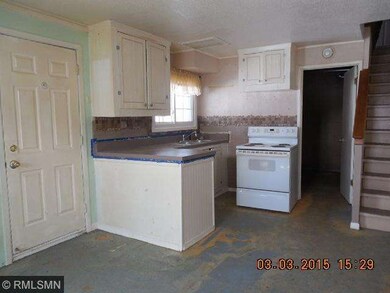 Basement kitchen for guests