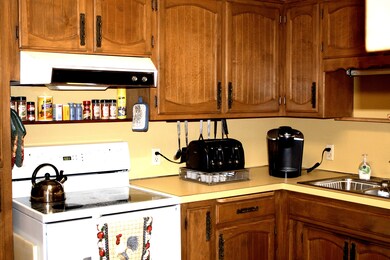 5 Dogwood Ln, Kimberling City, MO 65686 - photo 5