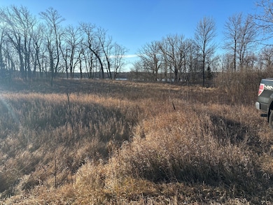 Tbd Leaf River Rd, Ottertail, MN 56571 - photo 3