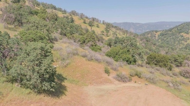 0 Ruth Hill Rd unit 616689, Squaw Valley, CA 93675 - photo 3