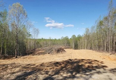 0 Mountain Creek Rd unit 9 57624, Prince Edward, VA 23942 - photo 2