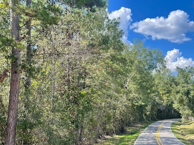 0 Rawl Spring Loop Rd, Hattiesburg, MS 39402 - photo 2