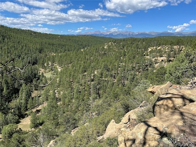 14200 County Rd 28 8, Weston, CO 81091 - photo 4